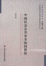 中国社会公共安全协同供给