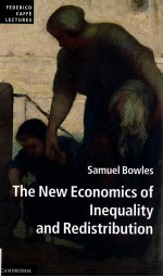 THE NEW ECONOMICS OF INEQUALITY AND REDISTRIBUTION