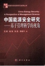 中国能源安全研究  基于管理科学的视角