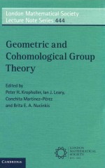 Geometric and Cohomological Group Theory