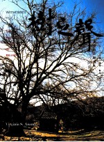 Witnesses to time  The magnificent trees of Beijing