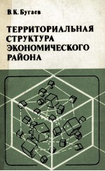 ТЕРРИТОРИАЛЬНАЯ СТРУКТУРА ЭКОНОМИЧЕСКОГО РАЙОНА