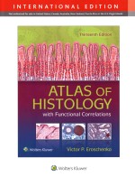 Atlas of Histology with Functional Correlations International Edition Thirteenth Edition