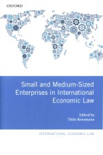 Small and Medium-Sized Enterprises in International Economic Law