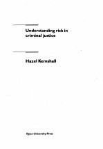 UNDERSTANDING RISK IN CRIMINAL JUSTICE