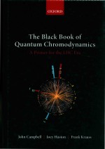 The Black Book of Quantum Chromodynamics