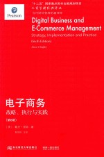 电子商务  战略、执行与实践