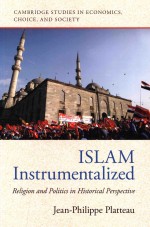 Islam Instrumentalized Religion and Politics in Historical Perspective