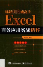 练好套路成高手  Excel商务应用实战精粹