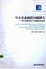 中小企业融资问题研究  基于西部地区产业集群发展视角