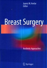 BREAST SURGERY AESTHETIC APPROACHES