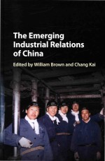 The Emerging Industrial Relations of China