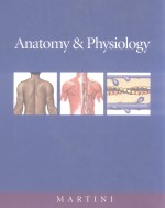 Anatomyh & Physiology