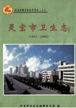 灵宝市卫生志  1983-2000