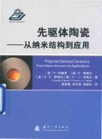 先驱体陶瓷  从纳米结构到应用