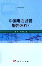 中国电力监管报告  2017版