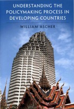 Understanding the Policymaking Process in Developing Countries