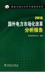 国外化改革分析报告  2013