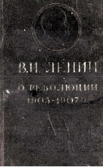 О РЕВОЛЮЦИИ 1905-1907 ГГ.