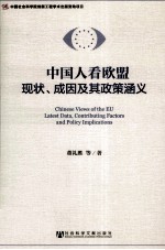 中国人看欧盟  现状、成因及其政策涵义