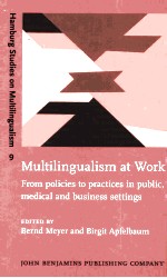 MULTILINGUALISM AT WORK:FROM POLICIES TO PRACTICES IN PUBLIC