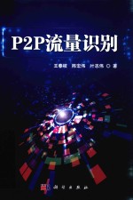 P2P流量识别