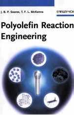 Polyolefin Reaction Engineering