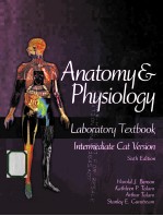 anstomy & physiology  laboratory textbook  sixth edition