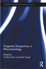 Pragmatic perspectives in phenomenology