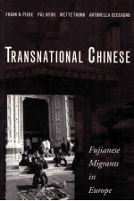 Transnational Chinese:Fujianese migrants in Europe