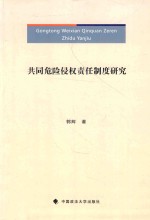 共同危险侵权责任制度研究