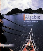 Algebra for College Students