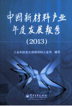 中国新材料产业年度发展报告  2013