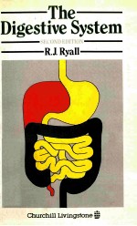 The digestive system.