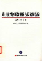 审计技术创新发展报告及案例选编  2013  下