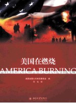 美国在燃烧=america burning