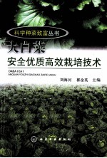 大白菜安全优质高效栽培技术