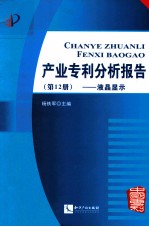 产业专利分析报告  第12册  液晶显示