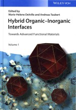 Hybrid Organic-Inorganic Interfaces: Towards Advanced Functional Materials Volume 1