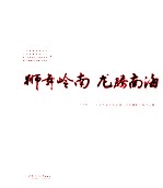 狮舞岭南龙腾南海  大沥杯广东省首届全国龙狮龙舟摄影大展作品集