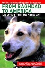 FROM BAGHDAD TO AMERICA:LIFE LESSONS FROM A DONG NAMED LAVA