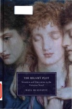 The bigamy plot: sensation and convention in the Victorian novel