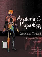 anatomy & physiology  laboratory textbook  eighth edition