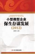 小型微型企业保生存谋发展  2012