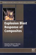 Explosion Blast Response of Composites