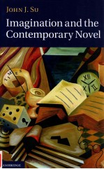 IMAGINATION AND THE CONTEMPORARY NOVEL