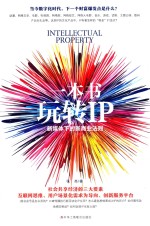 一本书玩转IP