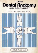 CONCISE  DENTAL ANATOMY AND MORPHOLOGY