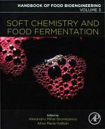 Soft Chemistry And Food Fermentation Volume 3