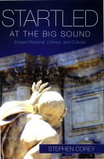 Startled At The Big Sound: Essays Personal